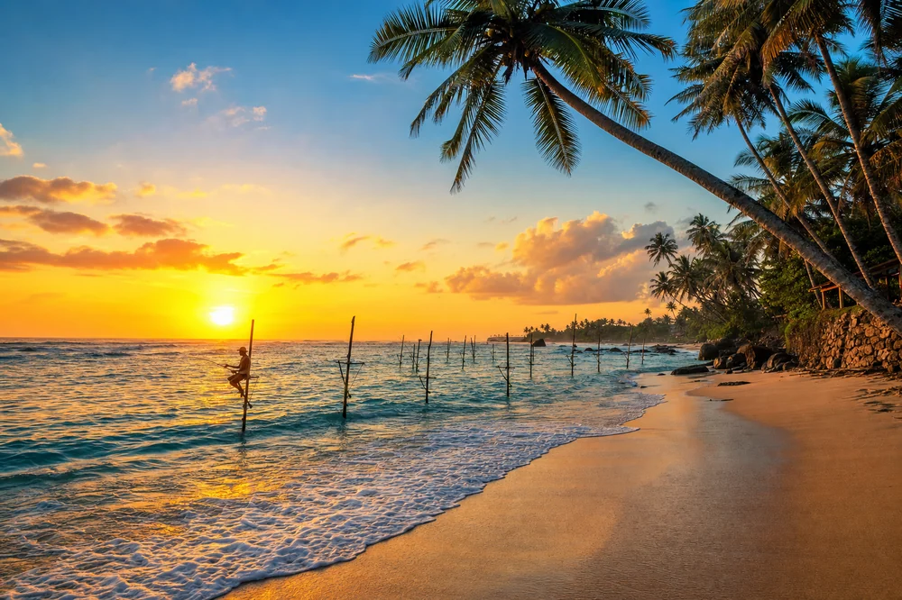 A palm-lined southern beach at sunset